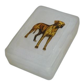 Ridgeback - plastový box