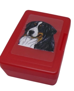 Bernský salašnický pes - plastový box