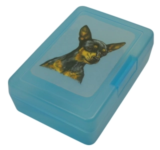 Krysařík - plastový box