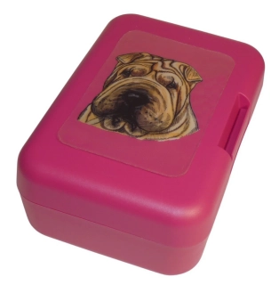 Šarpej - plastový box