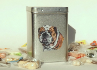 Anglický buldok - adventní kalendář pro psy