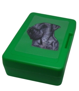 Český teriér - plastový box