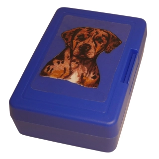 Leopardí pes - plastový box