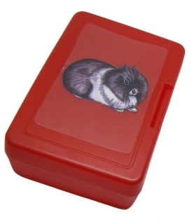 Plastový box - králík Teddy