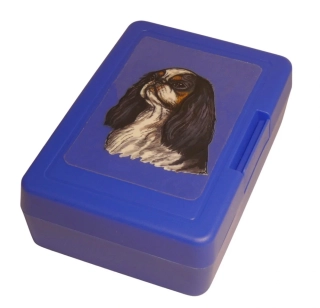 King Charles - plastový box