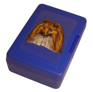 Šeltie zlatobílá - plastový box