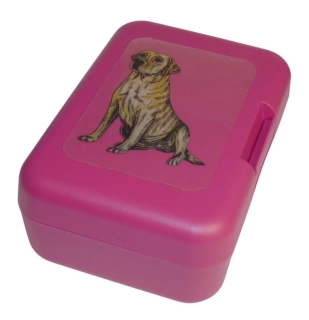 Labrador - plastový box 