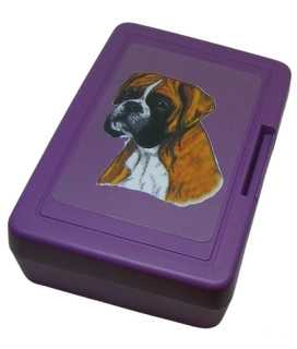 Boxer zlatý - plastový box