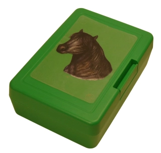 Plastový box - shetlandský pony