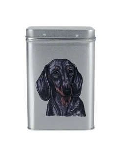 Plechová dóza - jezevčík hladkosrstý barevný