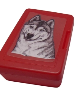 Husky - plastový box