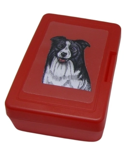 Border kolie - plastový box