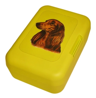 Jezevčík dlouhosrstý barevný - plastový box