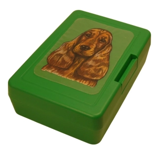 Angl. kokršpaněl zlatý - plastový box