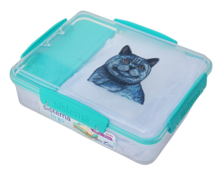 Svačinový box Sistema - britská kočka