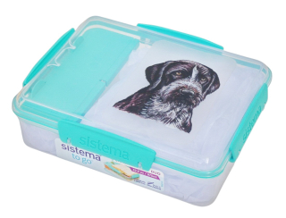 Svačinový box Sistema - český fousek