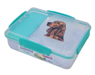 Svačinový box Sistema - irský setr