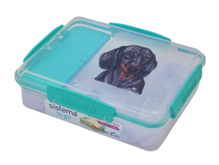 Svačinový box Sistema - jezevčík hladkosrstý barevný