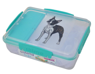 Svačinový box Sistema - bostonek