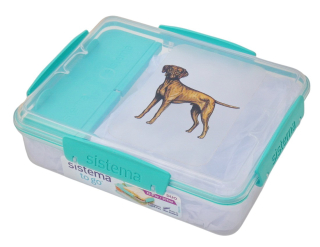 Svačinový box Sistema - maďarský ohař