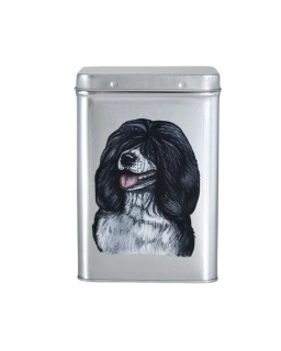 Plechová dóza - portugalský vodní pes