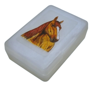 Plastový box - kůň Quarter horse
