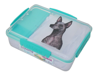 Svačinový box Sistema - peruánský naháč