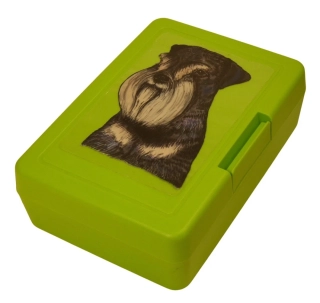 Knírač malý - plastový box