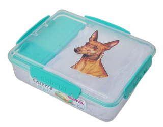 Svačinový box Sistema - faraonský pes