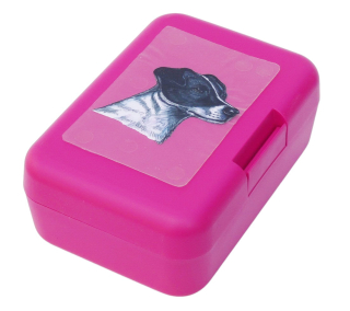 Jack Russel krátkosrstý - plastový box