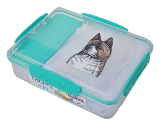 Svačinový box Sistema - akita