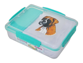 Svačinový box Sistema - boxer zlatý