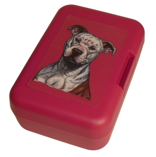 Pitbul - plastový box