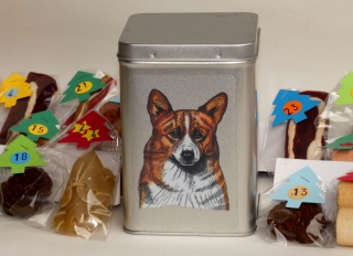 Welshcorgi Pembroke - adventní kalendář pro psy