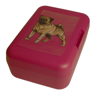 Mops plavý - plastový box