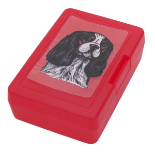 Kavalír tricolor - plastový box