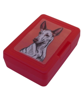 Ibizský podenco - plastový box