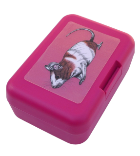 Plastový box - laboratorní myš