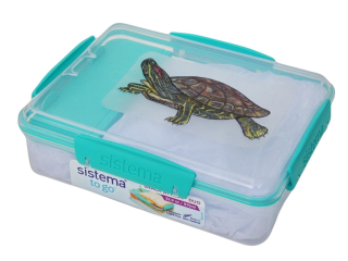 Svačinový box Sistema - želva nádherná