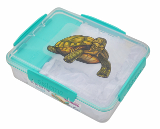 Svačinový box Sistema - želva suchozemská