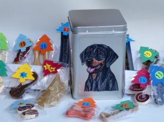 Slovenský kopov - adventní kalendář pro psy