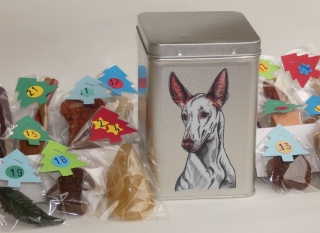 Ibizský podenco - adventní kalendář pro psy