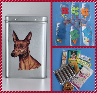 DIY - vyrobte si sami adventní kalendář pro faraonského psa