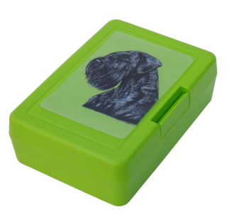Knírač velký - plastový box