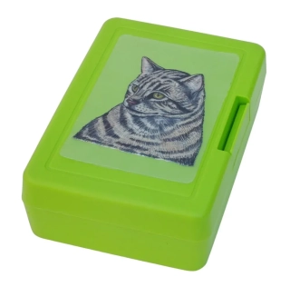 Plastový box - mourovatá kočka