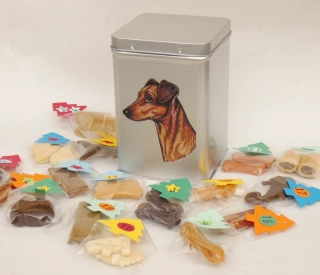 Německý pinč - adventní kalendář pro psy