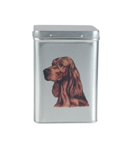 Plechová dóza - irský setr