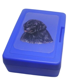 Novofundlanďan - plastový box