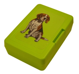 Bígl - plastový box