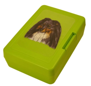 Šeltie tricolor - plastový box